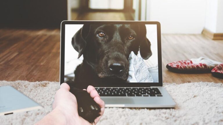 Best Communication Apps for Gamers in 2026