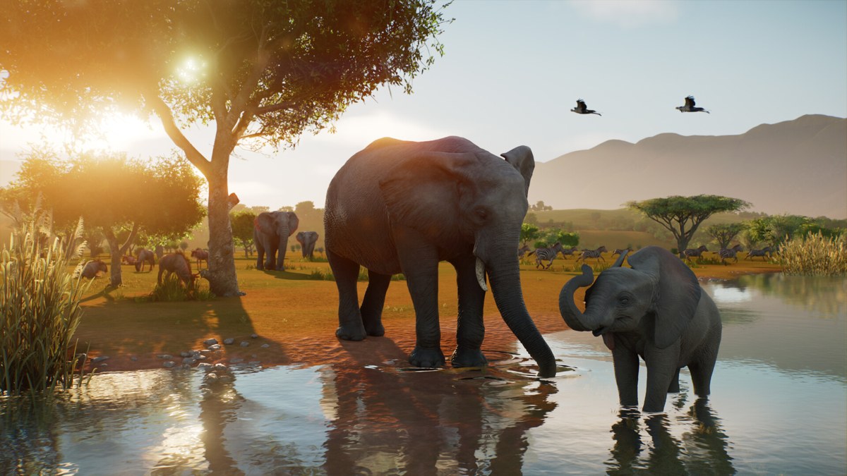 Planet Zoo 2 elephants wading through a savanna watering hole at dusk